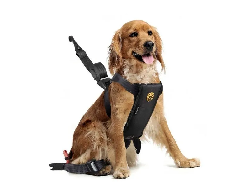 Babyauto Pets   Travel Fix Perro 138